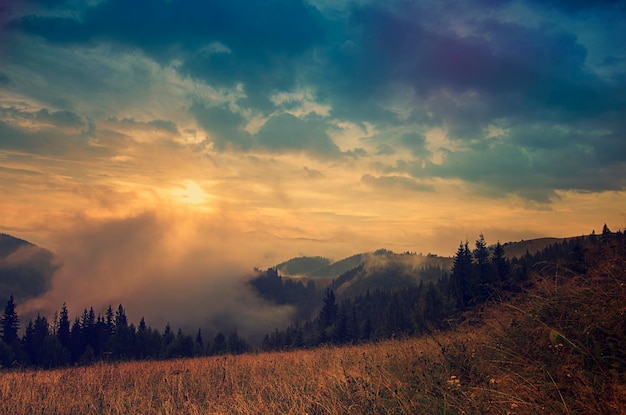 Mañana brumosa paisaje de verano vintage brillante con niebla, prado dorado y sol brillando