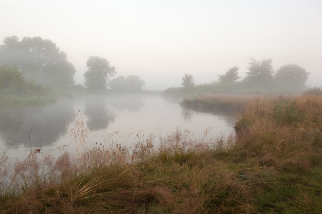 Mañana brumosa en el río