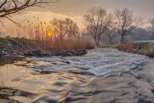 mañana brumosa en el río