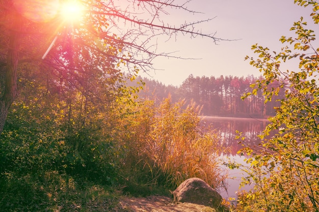 Mañana brumosa temprana de otoño Salida del sol sobre el lago del bosque
