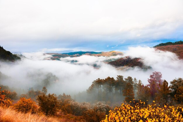 Mañana brumosa en el valle del río Duero, Portugal. Región vinícola portuguesa. Hermoso paisaje otoñal