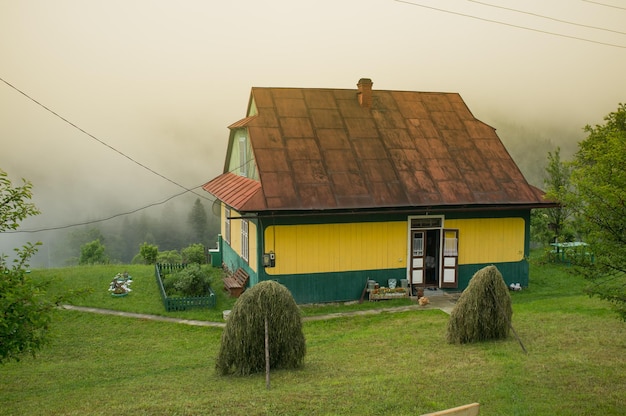 Foto mañana en el campo prado y árboles en la niebla