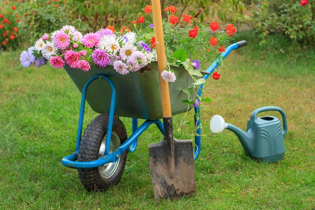 Mañana después del trabajo en el jardín de verano. Carretilla con flores cortadas, pala y regadera sobre hierba verde.