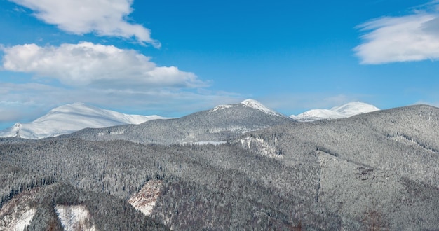 Foto mañana de invierno montañas de los cárpatos ucrania