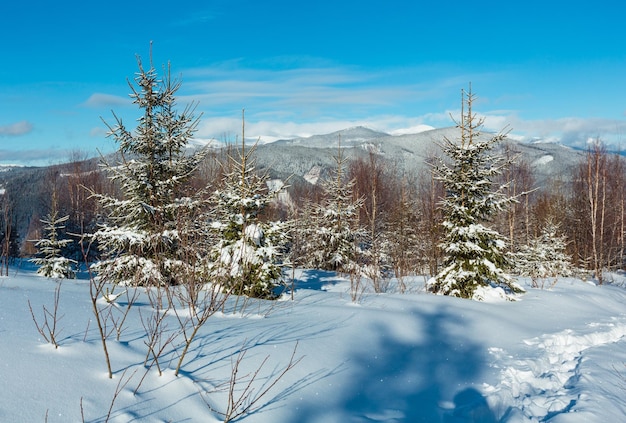 Mañana de invierno Montes Cárpatos Ucrania