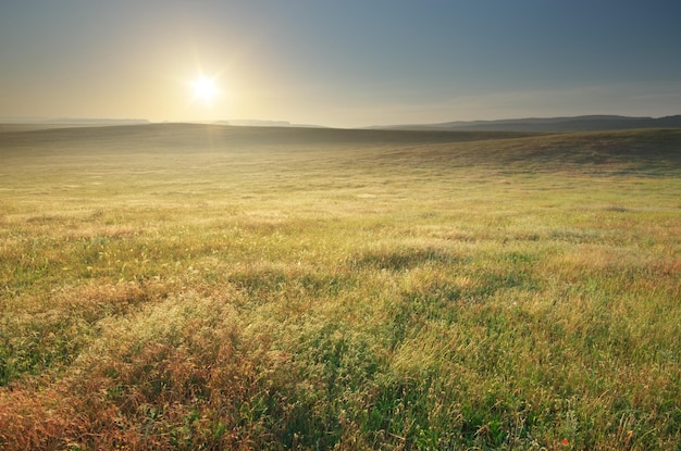 Mañana naturaleza pradera paisaje