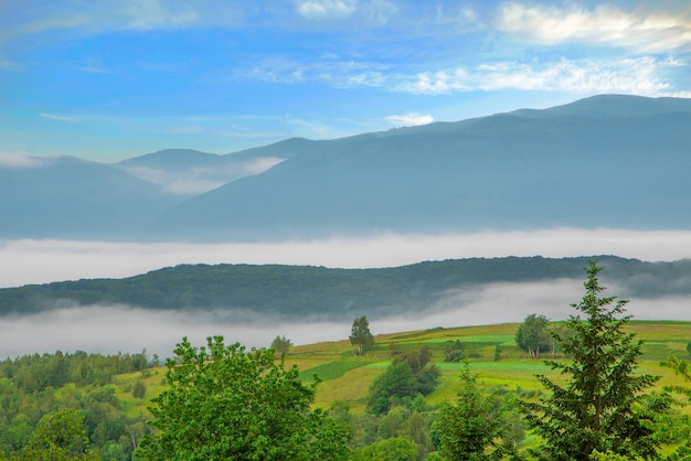 Mañana en la niebla de las montañas en un claro Paisaje de la naturaleza