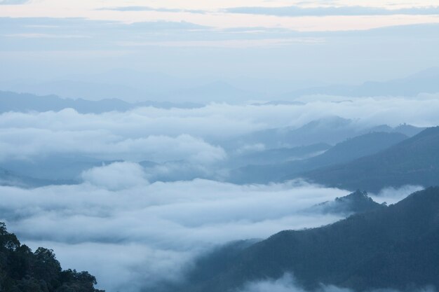 mañana de niebla paisaje Tailandia