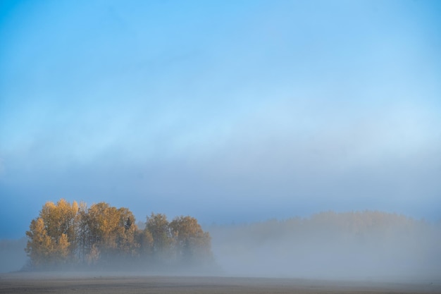 Foto una mañana de niebla.