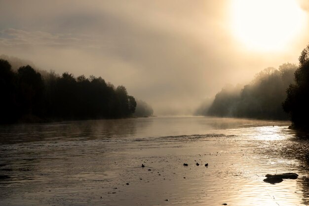 La mañana nublada en el amanecer del río disipa un poco de niebla en las tierras bajas