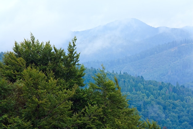 Mañana nublada en las montañas de los Cárpatos de verano, Ucrania (con nubes de niebla ascendentes).