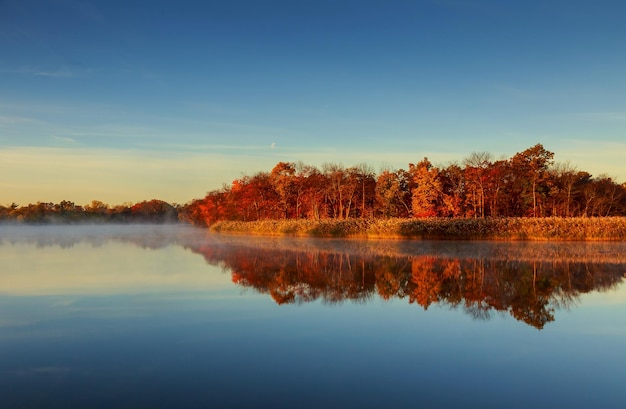 Mañana de octubre en el río Otoño niebla río hojas amarillas