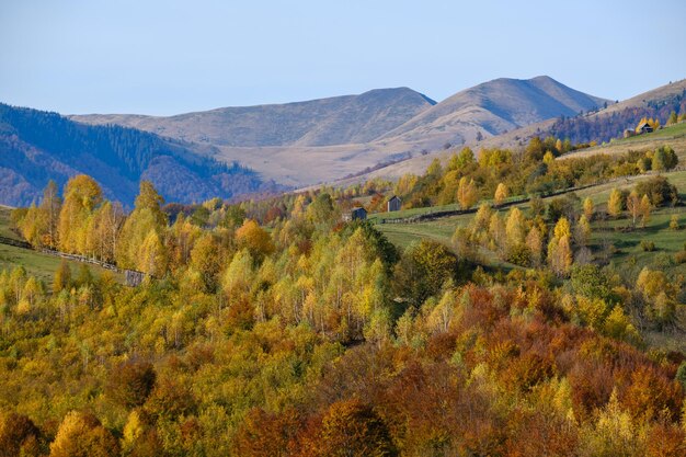 Mañana de otoño Montes Cárpatos calma escena pintoresca Ucrania Tranquilo viajar naturaleza estacional y paisaje concepto de belleza escena