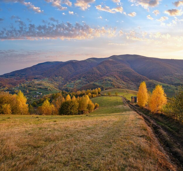 Mañana de otoño Montes Cárpatos calma escena pintoresca Ucrania Tranquilo viajar naturaleza estacional y paisaje concepto de belleza escena