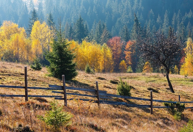 Mañana otoño paisaje de los Cárpatos