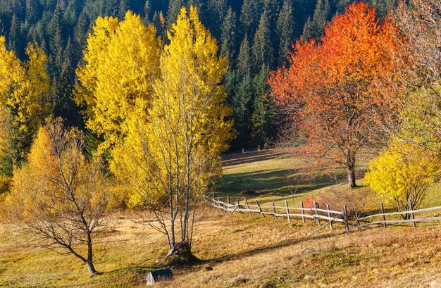 Mañana otoño paisaje de los Cárpatos