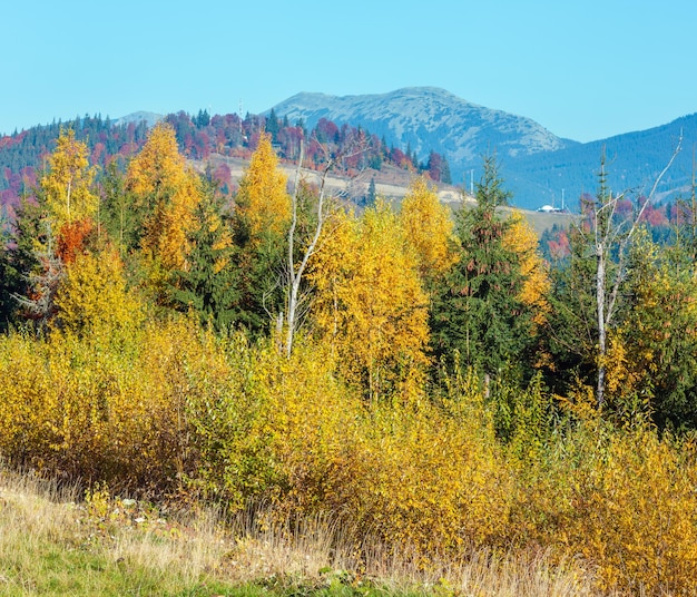 Mañana otoño paisaje de los Cárpatos