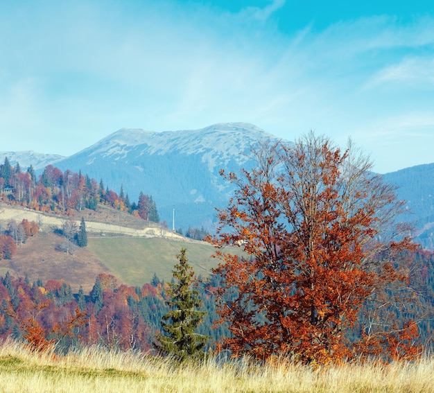 Mañana otoño paisaje de los Cárpatos