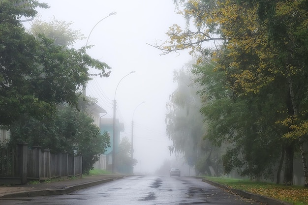 mañana de paisaje otoñal en la niebla / callejón en el parque de la ciudad, paisaje brumoso en la ciudad, árboles en la ciudad