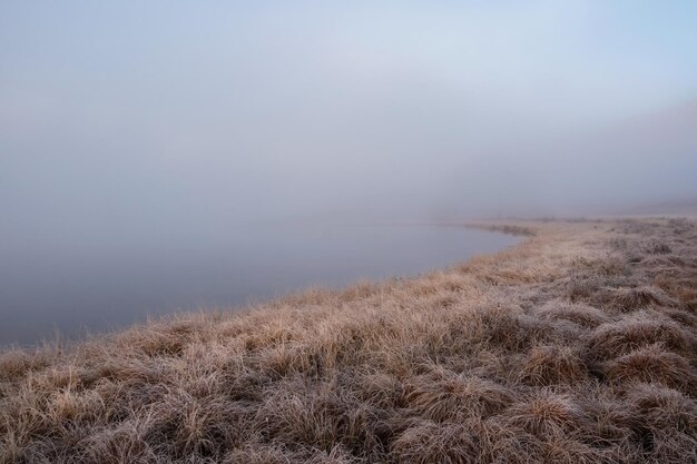 Foto mañana de un pantano con fondo natural y niebla sobre el pantano