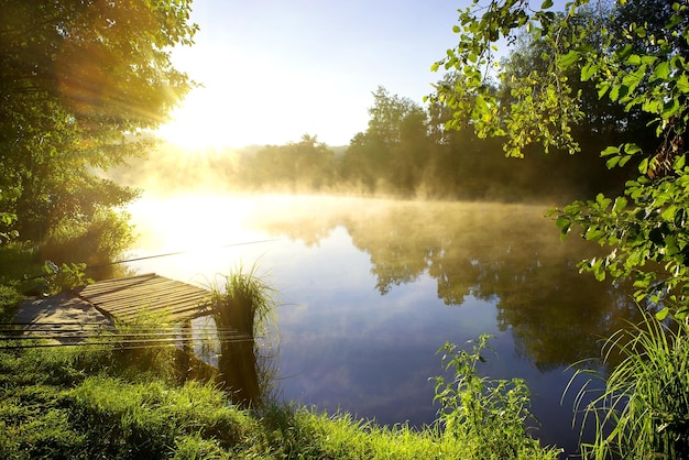 Mañana de pesca en un hermoso río en el bosque