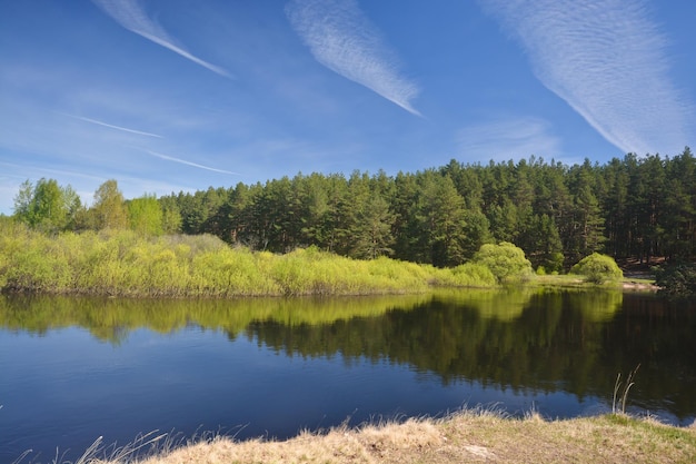 Mañana de primavera en el río del bosque