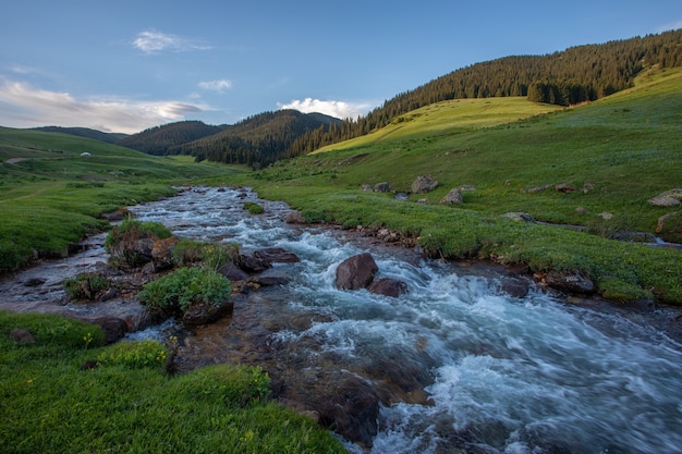 Mañana en un río de montaña