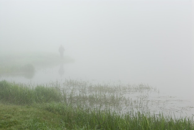 Mañana en el río