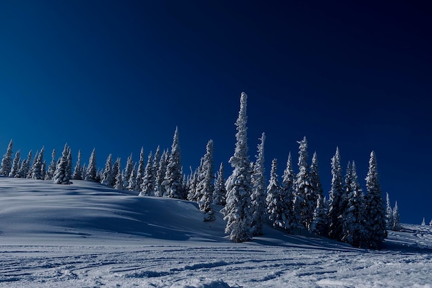 Mañana soleada de invierno en las montañas de sheregesh en la pista de esquíx9