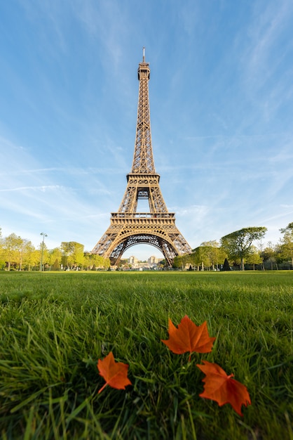 Mañana soleada en París y Torre Eiffel con la hoja de arce en París, Francia.