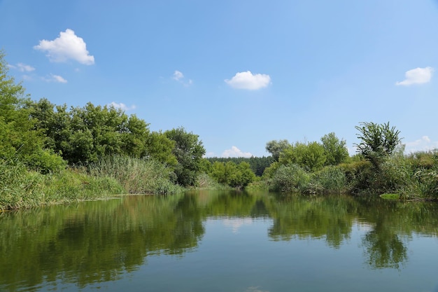 Mañana soleada de primavera en el prado cerca del río