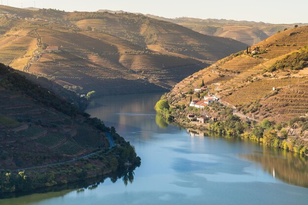 Mañana soleada vista otoñal sobre el río Duoro y un valle cerca del pueblo de Pinhao en Portugal Destinos de viaje y enoturismo en Portugal