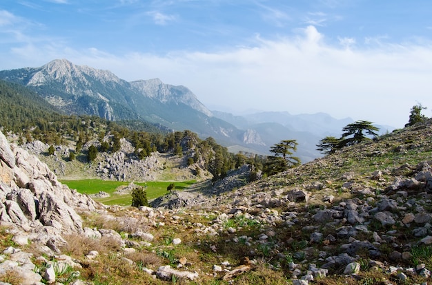 Mañana en el valle de las montañas Tema de viaje Hermoso paisaje natural