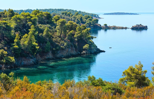 Mañana de verano Costa del Mar Egeo con pino en la orilla (Sithonia, Halkidiki, Grecia).