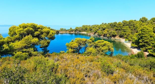 Mañana de verano Mar Egeo con pinos en la orilla y pequeñas playas, Sithonia (cerca de Ag. Kiriaki), Halkidiki, Grecia.