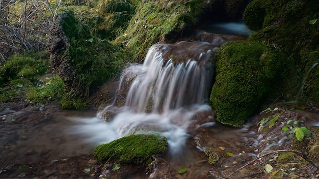 Manantial del río Cuervo.