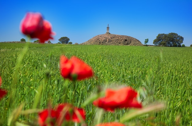 La Mancha Cubillo arruina el Camino de Santiago