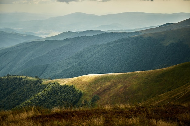 Mancha de luz solar na cordilheira dos cárpatos, ucrânia, trilhas para caminhadas e caminhadas no cume de borzhava área rural das montanhas dos cárpatos no outono