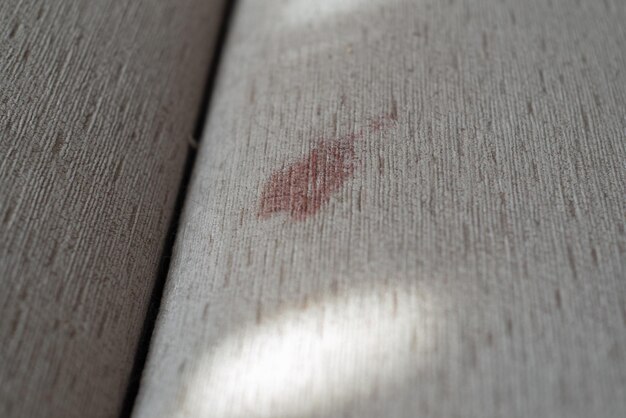 Mancha de sangre en el sofá de tela después de la menstruación nocturna Manchas frescas o viejas limpiando las sábanas de la cama