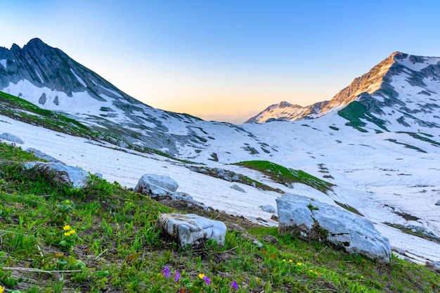 Las manchas de nieve y la hierba verde en la cima de las montañas en el bosque tropical al amanecer