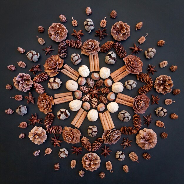 Mandala con conos y nueces