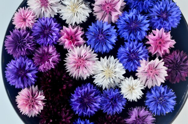 Mandala de flores multicoloridas flutuando na placa de água feita de flores frescas.