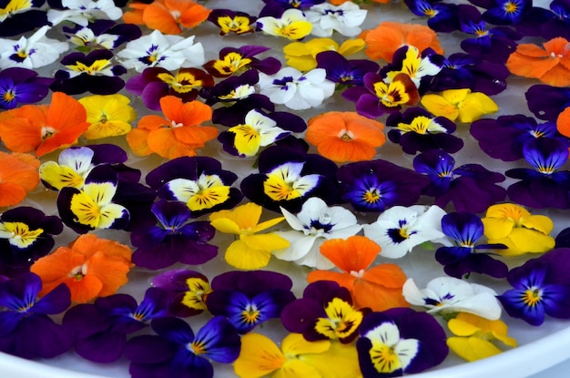 Mandala de flores multicoloridas flutuando na placa de água feita de flores frescas.