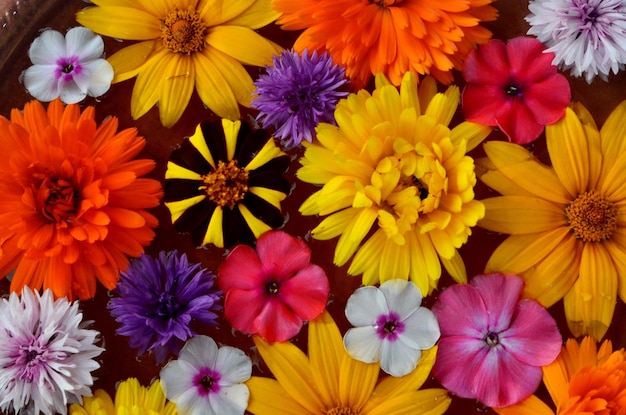 Mandala de flores multicoloridas flutuando na placa de água feita de flores frescas.