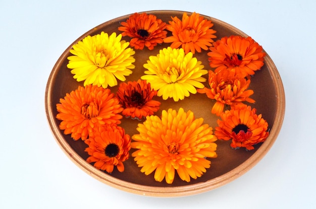 Mandala de flores multicolores flotando sobre un plato de agua hecho de flores frescas.