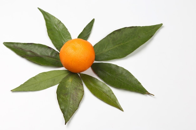 Foto mandarina con hojas sobre una superficie blanca