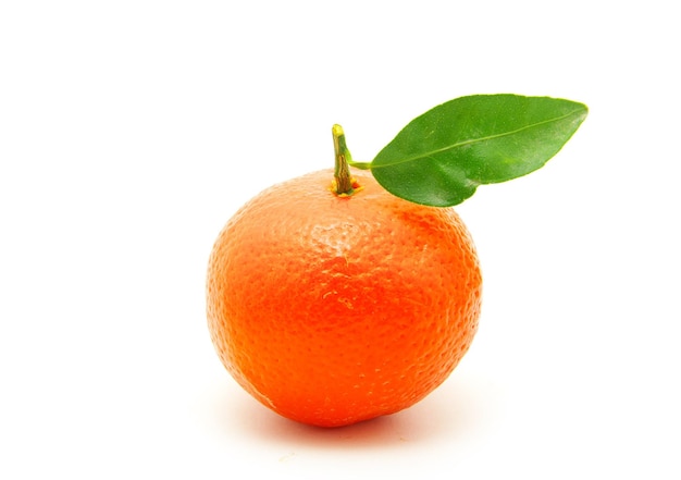 Mandarina