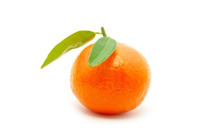 Mandarina