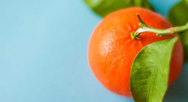 Mandarinas frescas cítricos orgánicos y alimentos naturales.