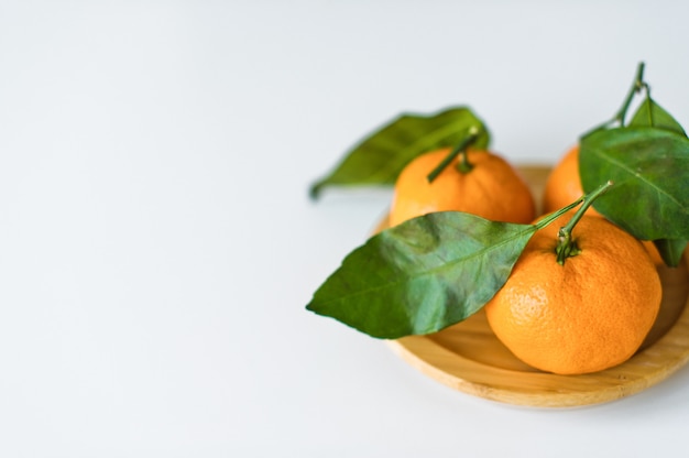 Mandarinas con ramas sobre un fondo blanco.